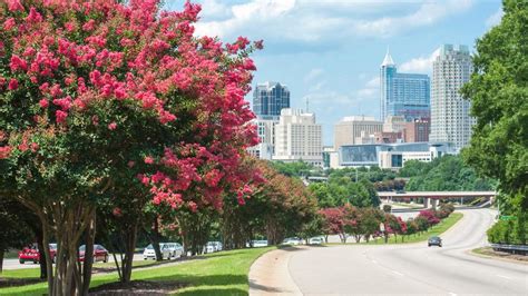 $25 Cheap Flights to Raleigh , NC .
